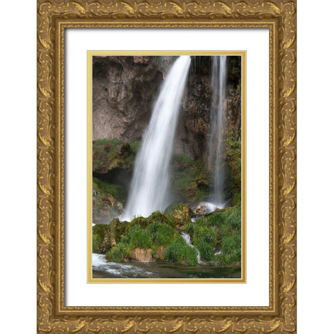 Colorado Rifle Falls-Rifle Falls State Park Gold Ornate Wood Framed Art Print with Double Matting by Zimmerman, Judith