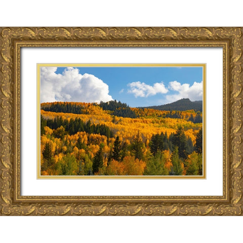 Two Creeks area of Aspen Snowmass ski resort in autumn Gold Ornate Wood Framed Art Print with Double Matting by Ostrowitz, Mallorie