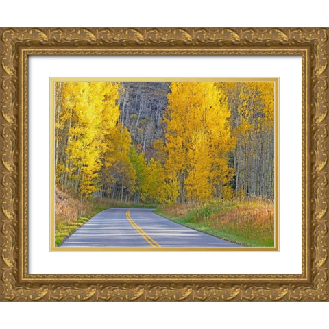 Colorado-Aspen-curved roadway near township of Aspen in fall colors Gold Ornate Wood Framed Art Print with Double Matting by Gulin, Sylvia