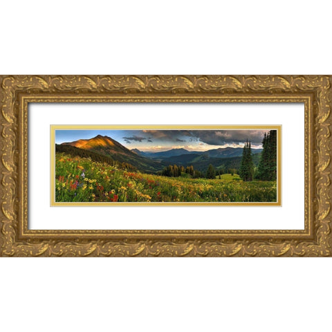 Colorado-Crested Butte-wildflowers Gold Ornate Wood Framed Art Print with Double Matting by SMO