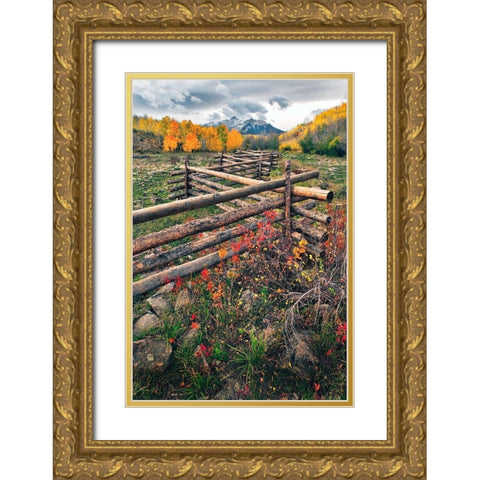 A log fence leads to the horizon on Dallas divide near Telluride in the Colorado Rocky Mountains Gold Ornate Wood Framed Art Print with Double Matting by SMO