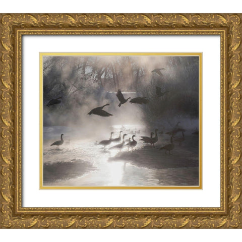 Geese in the mist in Colorados Rocky Mountains Gold Ornate Wood Framed Art Print with Double Matting by SMO