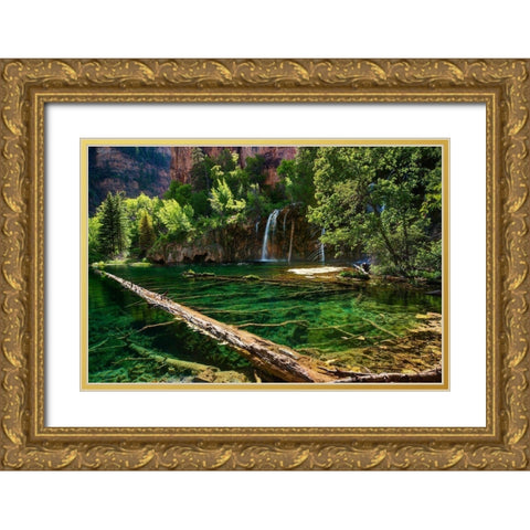 Lush and beautiful hanging lake near Glenwood springs in the Colorado Rocky Mountains Gold Ornate Wood Framed Art Print with Double Matting by SMO