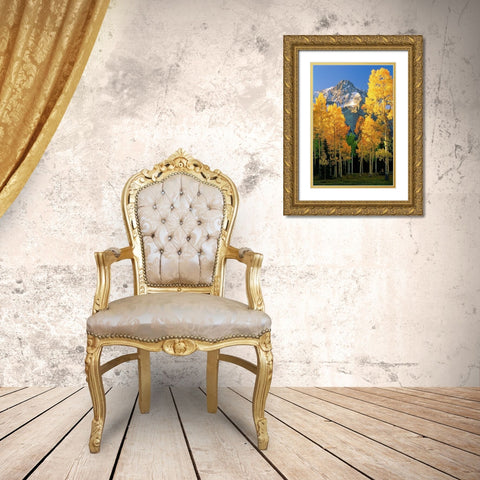 A mountain actually named unnamed 13334 flanked by Fall Aspen trees in the Colorado Rocky Mountains Gold Ornate Wood Framed Art Print with Double Matting by SMO