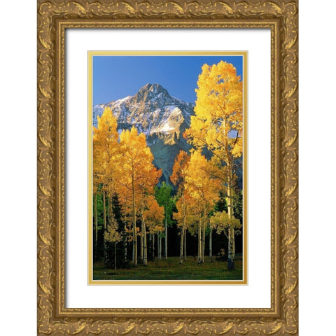 A mountain actually named unnamed 13334 flanked by Fall Aspen trees in the Colorado Rocky Mountains Gold Ornate Wood Framed Art Print with Double Matting by SMO