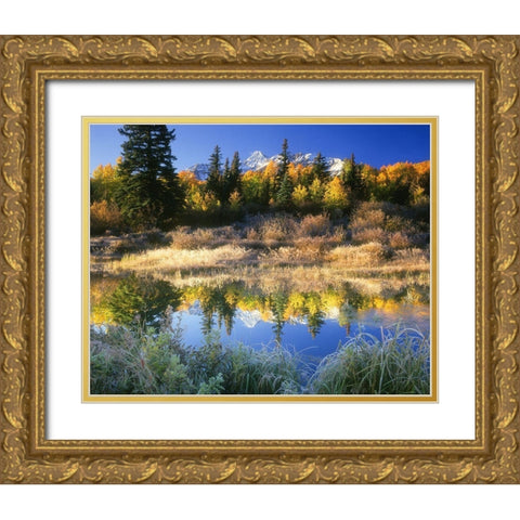 Wilson Peak near Telluride in the Colorado Rocky Mountains Gold Ornate Wood Framed Art Print with Double Matting by SMO