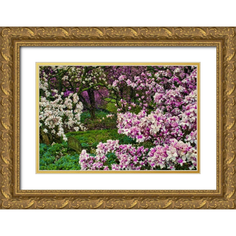 Delaware, Wilmington Flower and trees in garden Gold Ornate Wood Framed Art Print with Double Matting by OBrien, Jay