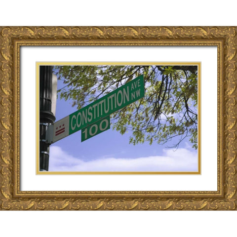 Washington DC, Constitution Ave street sign Gold Ornate Wood Framed Art Print with Double Matting by Flaherty, Dennis