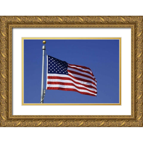 Washington DC, Washington Monument US flag Gold Ornate Wood Framed Art Print with Double Matting by Flaherty, Dennis