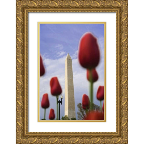 Washington DC, The Washington Monument Gold Ornate Wood Framed Art Print with Double Matting by Flaherty, Dennis