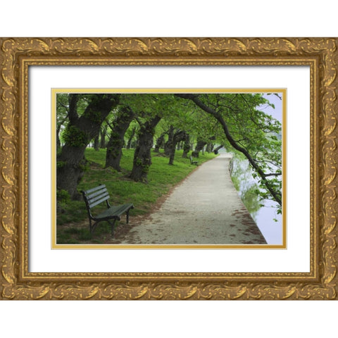 Washington DC, Cherry trees line a walkway Gold Ornate Wood Framed Art Print with Double Matting by Flaherty, Dennis