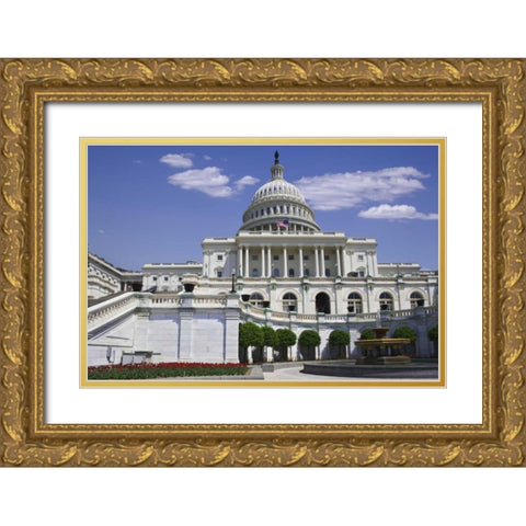 Washington, DC View of the Capitol building Gold Ornate Wood Framed Art Print with Double Matting by Flaherty, Dennis