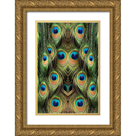 Male Peafowl feather pattern-Florida Gold Ornate Wood Framed Art Print with Double Matting by Jones, Adam