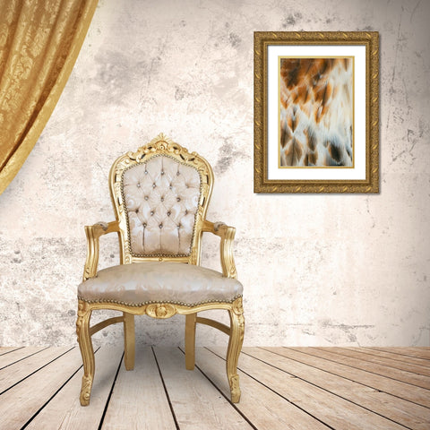 Feather pattern on Red-tailed hawk-Florida Gold Ornate Wood Framed Art Print with Double Matting by Jones, Adam