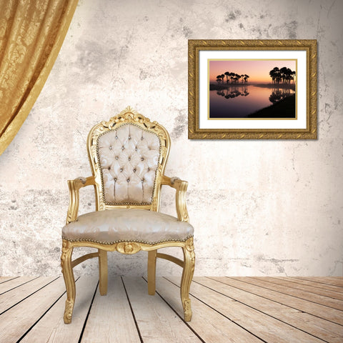 Sable palms silhouetted at sunrise on the Econlockhatchee River Gold Ornate Wood Framed Art Print with Double Matting by Jones, Adam