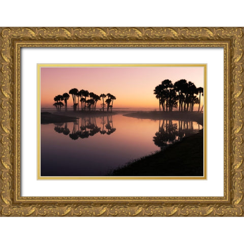 Sable palms silhouetted at sunrise on the Econlockhatchee River Gold Ornate Wood Framed Art Print with Double Matting by Jones, Adam