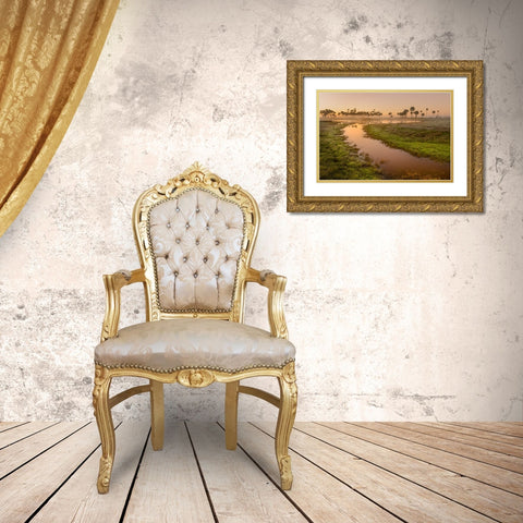 Sable palms silhouetted at sunrise on the Econlockhatchee River Gold Ornate Wood Framed Art Print with Double Matting by Jones, Adam