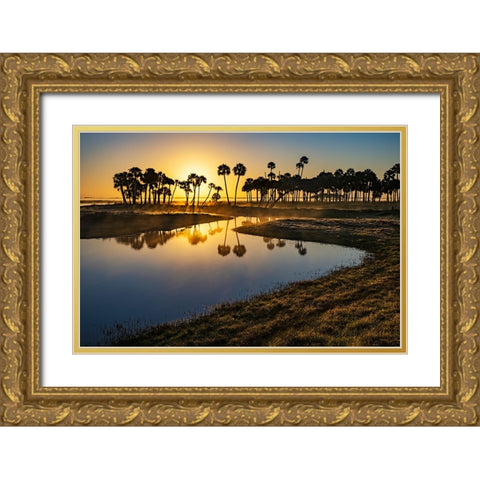 Sable palms silhouetted at sunrise on the Econlockhatchee River Gold Ornate Wood Framed Art Print with Double Matting by Jones, Adam
