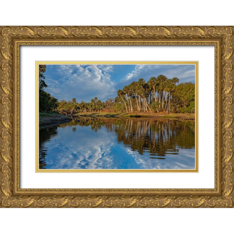 Sable palms reflected on the Econlockhatchee River Gold Ornate Wood Framed Art Print with Double Matting by Jones, Adam