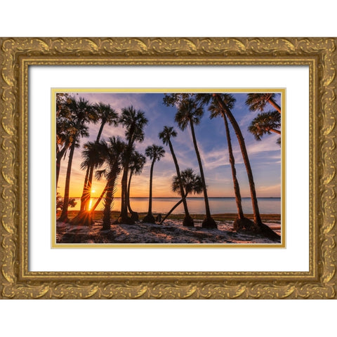 Sable palm tree silhouetted along shoreline of Harney Lake at sunset-Florida Gold Ornate Wood Framed Art Print with Double Matting by Jones, Adam