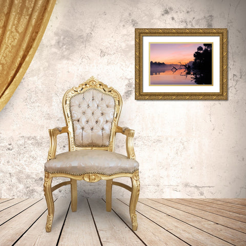 Predawn view of mist and fallen trees reflecting on blackwater area of St Johns River Gold Ornate Wood Framed Art Print with Double Matting by Jones, Adam