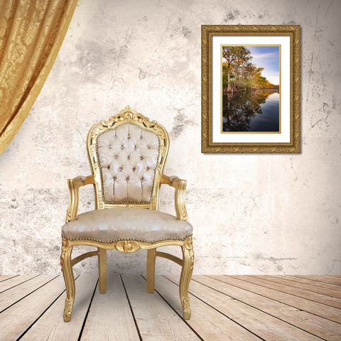 Early spring view of cypress trees reflecting on blackwater area of St Johns River-central Florida Gold Ornate Wood Framed Art Print with Double Matting by Jones, Adam