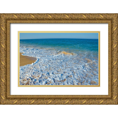 Florida-Surf on Beach Gold Ornate Wood Framed Art Print with Double Matting by Miller, Anna