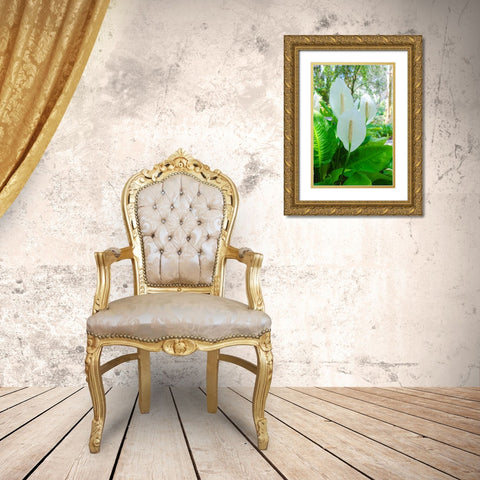 Florida- Peace Lily Gold Ornate Wood Framed Art Print with Double Matting by Miller, Anna