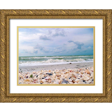 Bounty of Shells on Beaches of Sanibel Island-Florida-USA Gold Ornate Wood Framed Art Print with Double Matting by Miller, Anna