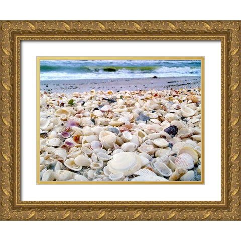 Bounty of Shells on Beaches of Sanibel Island-Florida-USA Gold Ornate Wood Framed Art Print with Double Matting by Miller, Anna