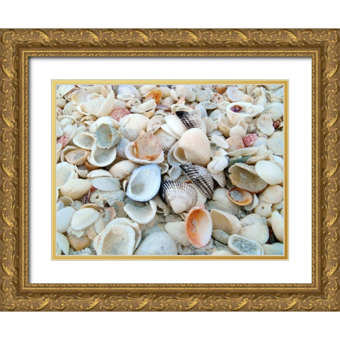 Bounty of Shells on Beaches of Sanibel Island-Florida-USA Gold Ornate Wood Framed Art Print with Double Matting by Miller, Anna