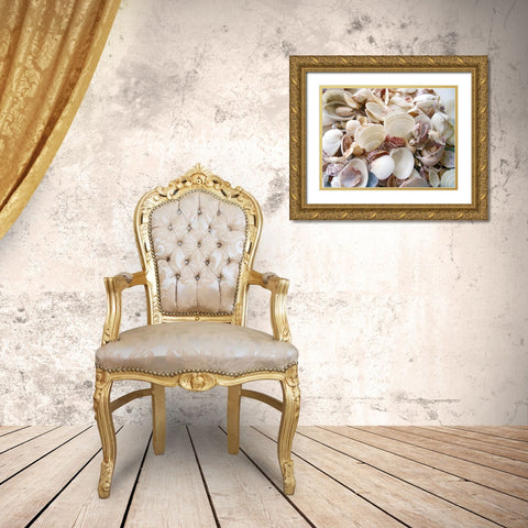 Shells Gathered on Beaches of Sanibel Island-Florida-USA Gold Ornate Wood Framed Art Print with Double Matting by Miller, Anna