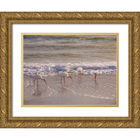 Birds Wading in the Surf on Sanibel Island Beach-Florida-USA Gold Ornate Wood Framed Art Print with Double Matting by Miller, Anna