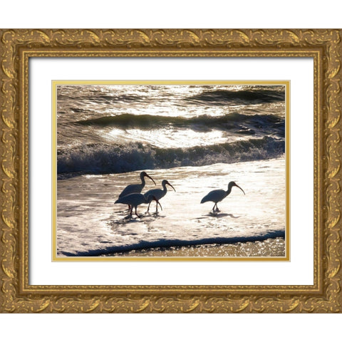 Birds Wading in the Surf on Sanibel Island Beach-Florida-USA Gold Ornate Wood Framed Art Print with Double Matting by Miller, Anna
