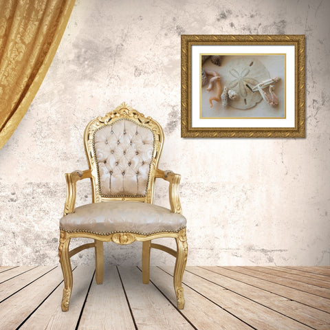 Shells Gathered on Beaches of Sanibel Island-Florida-USA Gold Ornate Wood Framed Art Print with Double Matting by Miller, Anna