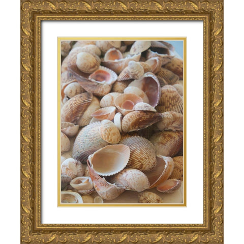 Shells Gathered on Beaches of Sanibel Island-Florida-USA Gold Ornate Wood Framed Art Print with Double Matting by Miller, Anna