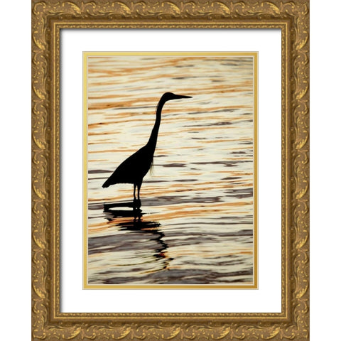 FL, Sanibel Silhouette of great blue heron Gold Ornate Wood Framed Art Print with Double Matting by Morris, Arthur