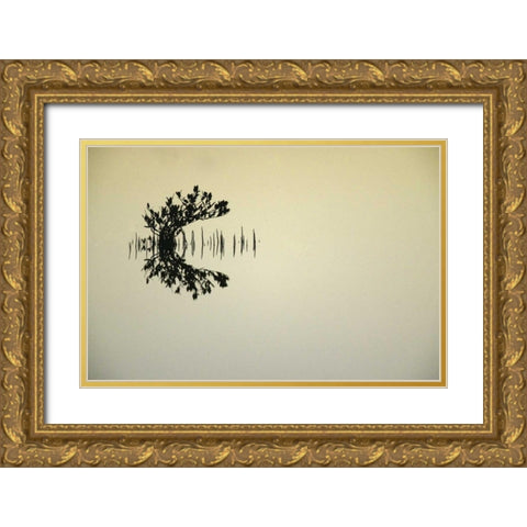 FL, Titusvulle, Merritt Island NWR Mangrove Gold Ornate Wood Framed Art Print with Double Matting by Morris, Arthur