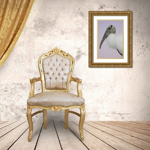 FL, Fort De Soto Park Pre-dawn flash Wood stork Gold Ornate Wood Framed Art Print with Double Matting by Morris, Arthur