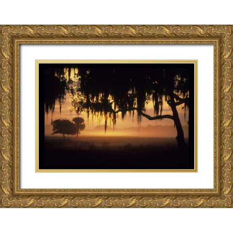 FL, Lake Kissimmee Sunrise silhouette of trees Gold Ornate Wood Framed Art Print with Double Matting by Williams, Joanne