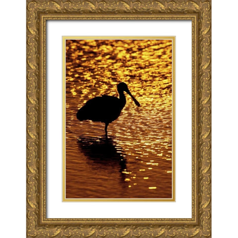 FL, Vierra Wetlands Roseate spoonbill silhouette Gold Ornate Wood Framed Art Print with Double Matting by Morris, Arthur