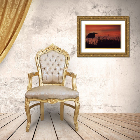 FL, Tampa Bay Silhouette of great blue heron Gold Ornate Wood Framed Art Print with Double Matting by Williams, Joanne