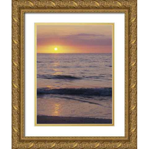 FL, St Petersburg Beach Sunset on the ocean Gold Ornate Wood Framed Art Print with Double Matting by Flaherty, Dennis