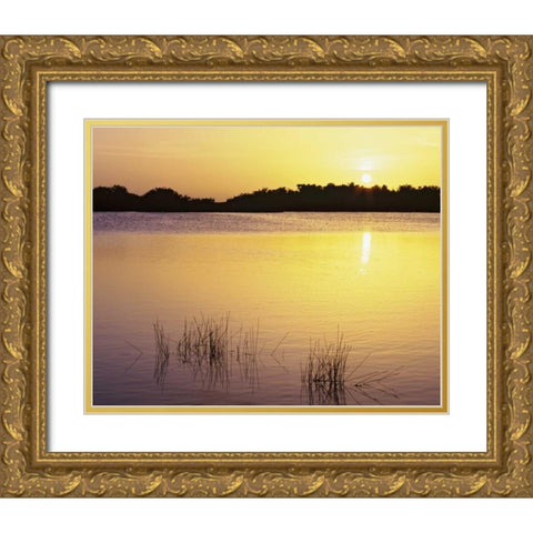 Florida, Everglades NP Sunset reflection on lake Gold Ornate Wood Framed Art Print with Double Matting by Flaherty, Dennis