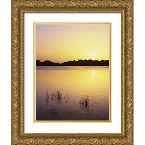 Florida, Everglades NP Sunset reflection on lake Gold Ornate Wood Framed Art Print with Double Matting by Flaherty, Dennis