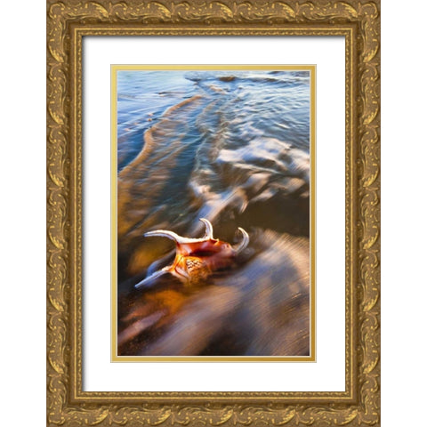 USA, Florida, St Augustine Gold Ornate Wood Framed Art Print with Double Matting by Rotenberg, Nancy