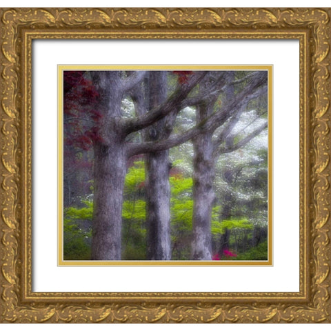 GA, Impressionistic trees and flowering bushes Gold Ornate Wood Framed Art Print with Double Matting by Rotenberg, Nancy