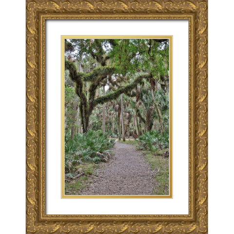 USA-Florida-Sarasota-Myakka River State Park Gold Ornate Wood Framed Art Print with Double Matting by Looney, Hollice