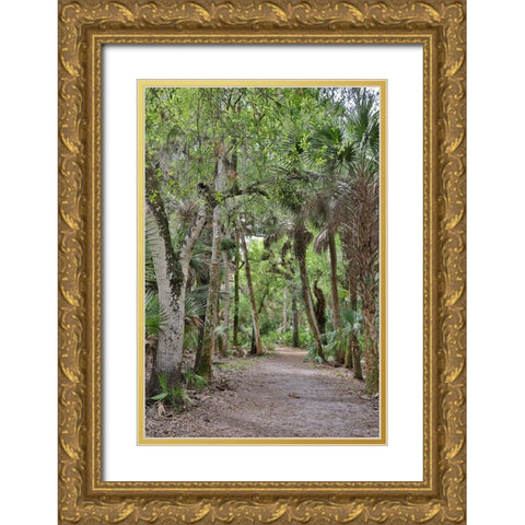 USA-Florida-Sarasota-Myakka River State Park Gold Ornate Wood Framed Art Print with Double Matting by Looney, Hollice