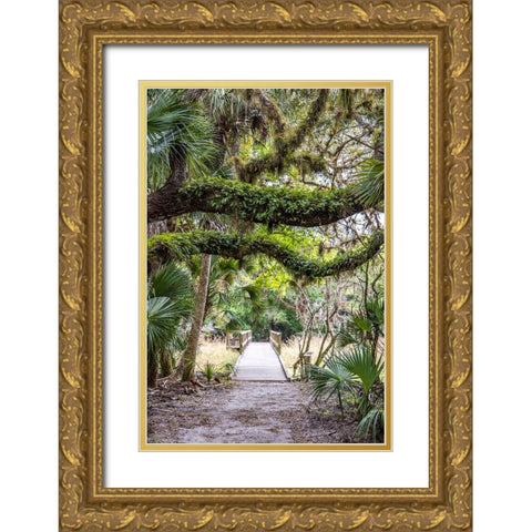 USA-Florida-Sarasota-Myakka River State Park Gold Ornate Wood Framed Art Print with Double Matting by Looney, Hollice